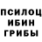 Галлюциногенные грибы Psilocybine cubensis Neo Noizz