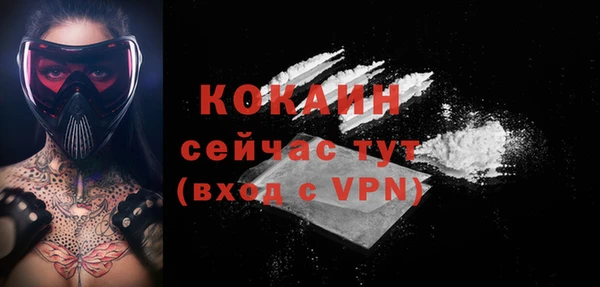 прущие грибы Аркадак