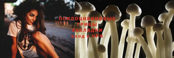 а пвп мука Алзамай