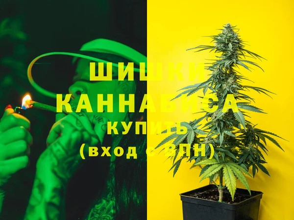 прущие грибы Аркадак