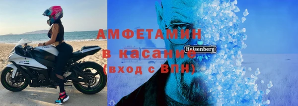 прущие грибы Аркадак