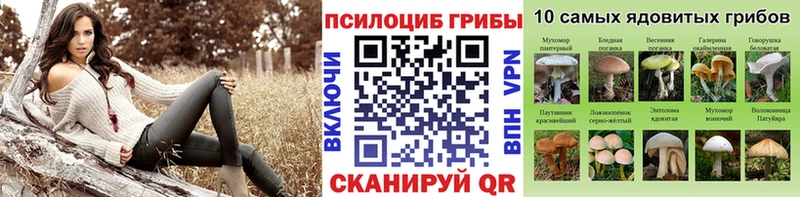 Галлюциногенные грибы MAGIC MUSHROOMS  как найти наркотики  это телеграм  Балей 