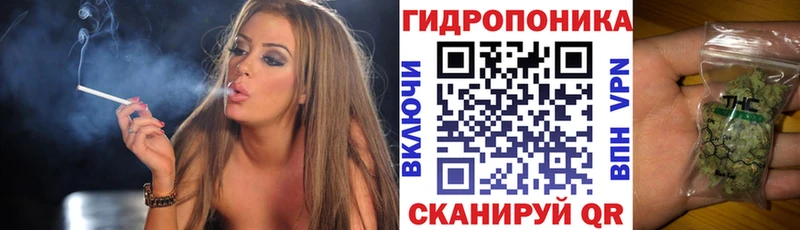 Бошки Шишки марихуана Балей